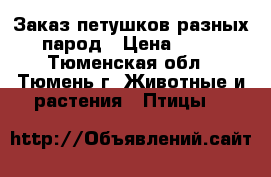 Заказ петушков разных парод › Цена ­ 20 - Тюменская обл., Тюмень г. Животные и растения » Птицы   